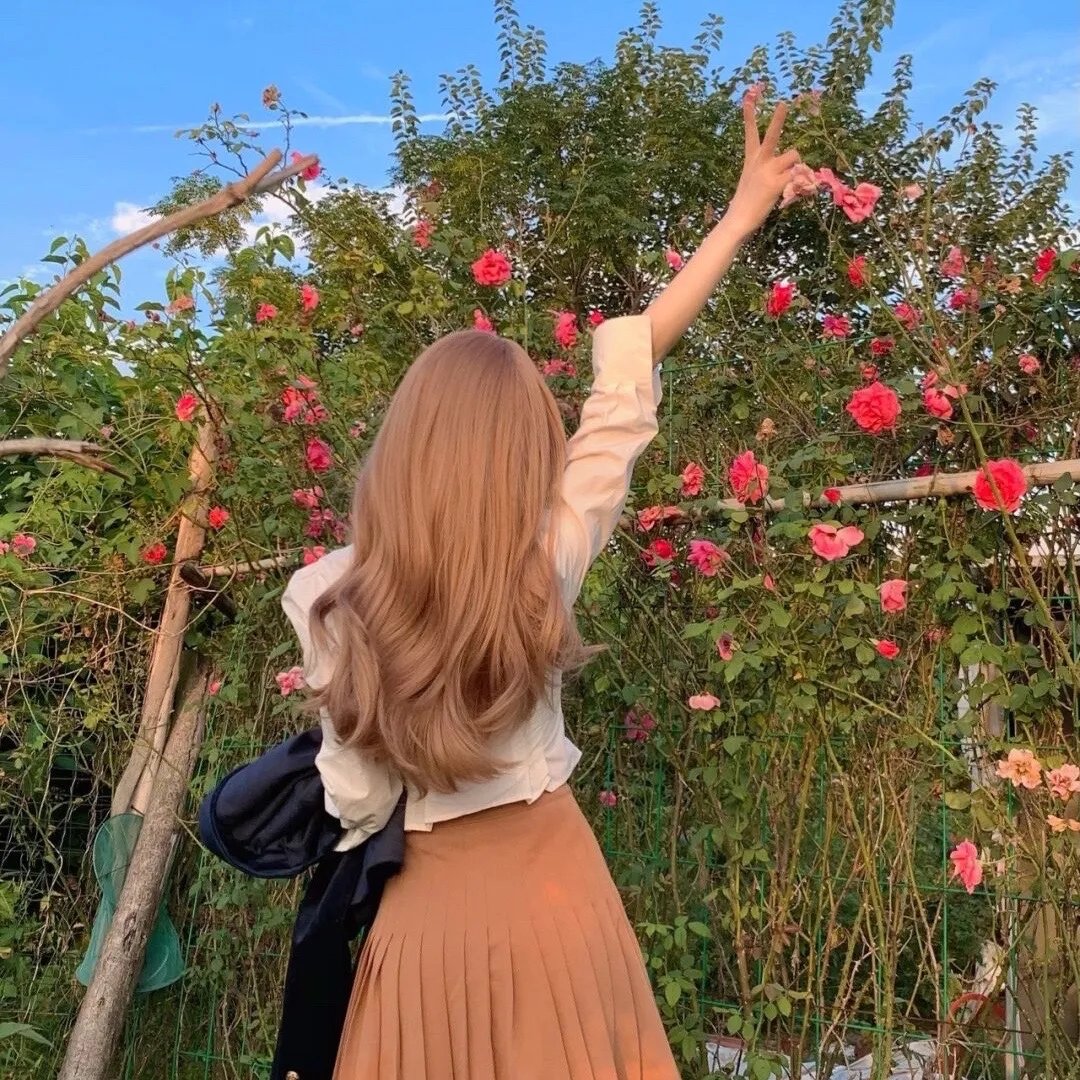 繁花落尽终归去