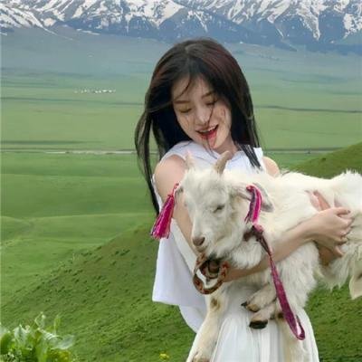 海军罪案调查处第二十季